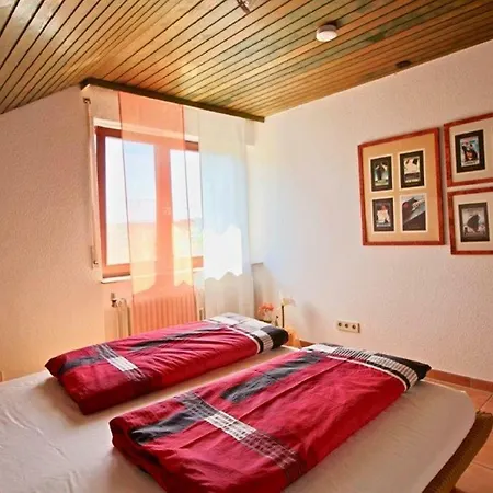 Mit Seeblick Und Dachterrasse In Apartamento Uberlingen